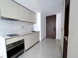 Kopar At Newton (D9), Apartment #565638651